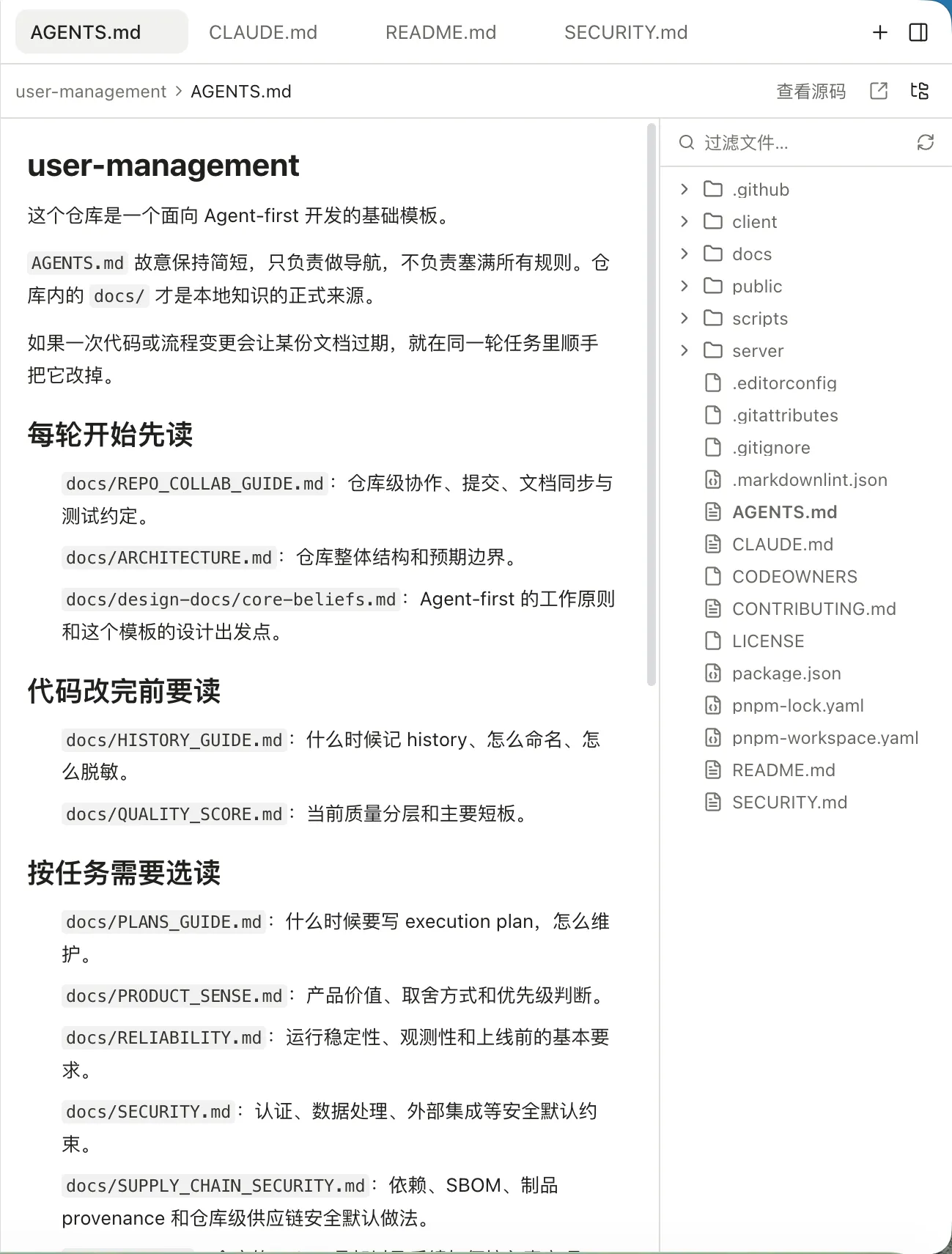 文件页签、Markdown 预览与工作区文件树